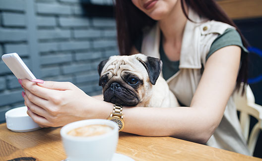 woman having coffee with dog